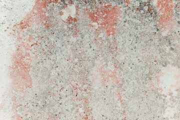 Old wall with lichens