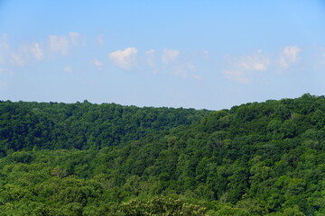 The scenic view of the green forest by Mammoth Cave National Park near Kentucky, U.S.A