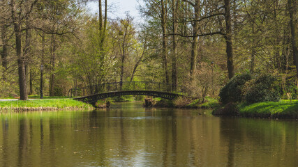 Fototapeta na wymiar Bridge in the park in Pszczyna