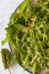 Fototapeta premium Fresh green mixed salad with microgreens with water drops on a plate, blue concrete background. Healthy food. Top view.