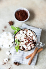 Hot chocolate or cocoa in glass cup with marshmallow, cinnamon and mint, light concrete background. Top view.