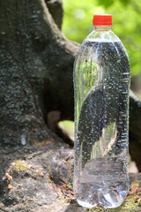 Water bottle against the background of a green forest. Package design
