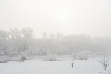 winter time in park from Sibiu city, Romania