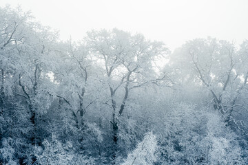 winter time in park from Sibiu city, Romania