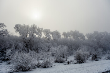 winter time in park from Sibiu city, Romania