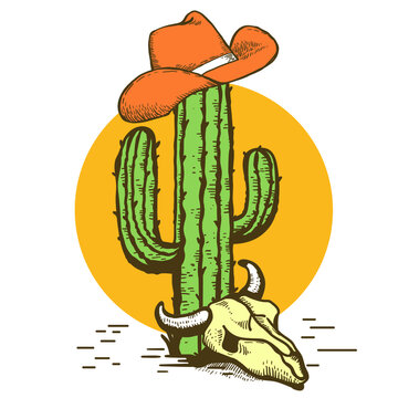 Cowboy hat on Cactus with cow skull. Vintage American Westerrn symbol hand drawn color illustration isolated on white for design.