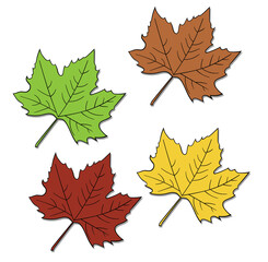 leaves illustrations on white background