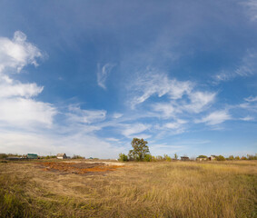 several lonely trees in the steppe