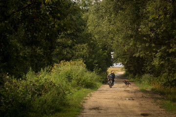 Obraz premium people on a bicycle and a running dog in the forest