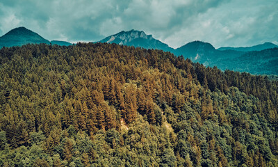 Beautiful aerial panoramic view of the Pieniny National Park, Poland in sunny day. Sokolica and Trzy Korony - English: Three Crowns (the summit of the Three Crowns Massif) © udmurd