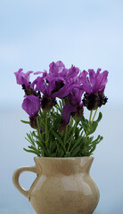 Floral sprigs of lavender in a rustic vase