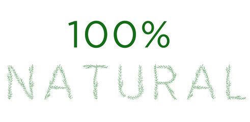 Fototapeta premium 100 percent NATURAL lettering. Green tree branch letters. Alphabet abc font capital letters for logo design
