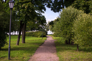 sandy alley in the park