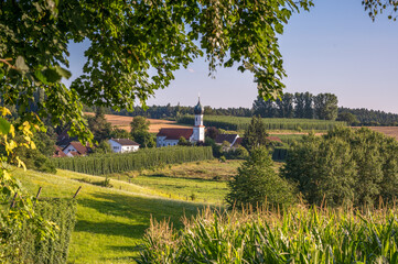 Kirche in der Hallertau umgeben von Hopfen in Lohwinden Bayern