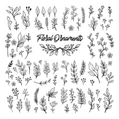 Fototapeta premium Floral graphic elements big vector doodle set. Flowers and plants hand drawn illustrations. Branches and leaves.