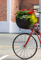 Beautiful red painted bicycle front wheel with a bucket of colorful flowers on the street of the city.