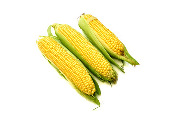 Young appetizing corn on the cob and peeled on a white background.