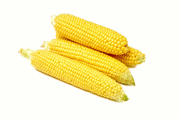 Young appetizing corn on the cob and peeled on a white background.