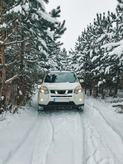 suv car in snowed forest