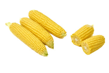 Young appetizing corn on the cob and peeled on a white background.