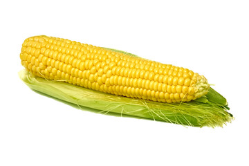 Young appetizing corn on the cob and peeled on a white background.