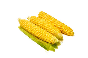 Young appetizing corn on the cob and peeled on a white background.