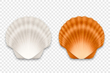 Vector 3d Realistic White and Brown Textured Closed Scallop Pearl Seashell Icon Set Closeup Isolated on Transparent Background. Sea Shell, Clam, Conch Design Template. Top View