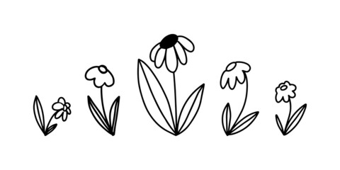 Vector illustration set of simple childish hand drawn flower doodles with leaves in black outline isolated on white background. Kid drawing, naive Scandinavian style.