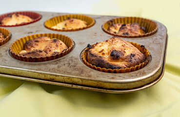 cupcakes in a baking dish top view isolate closeup