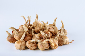 Crocus bulbs sativus on a white background. Bulbs for planting saffron, for getting the spice...