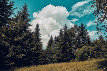 Beautiful aerial panoramic view of the Pieniny National Park, Poland in sunny day. Sokolica and Trzy Korony - English: Three Crowns (the summit of the Three Crowns Massif) © udmurd