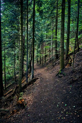Beautiful aerial panoramic view of the Pieniny National Park, Poland in sunny day. Sokolica and Trzy Korony - English: Three Crowns (the summit of the Three Crowns Massif) © udmurd