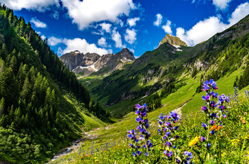landscape with flowers