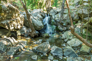 picturesque view at cascade of waterfalls in a mountain river flowing between trees, stones and rocks with grass on the steep sides of stream