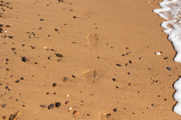 Footprints in the sand on a beach near the surf.
