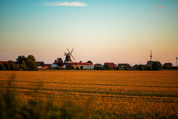 Fototapeta premium beautiful landscape at sunset. mill in the field.