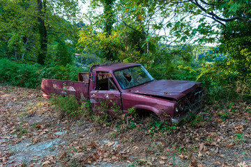 Old crashed car in the forest