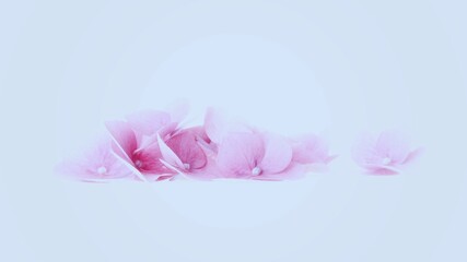 Pink Flower Petals