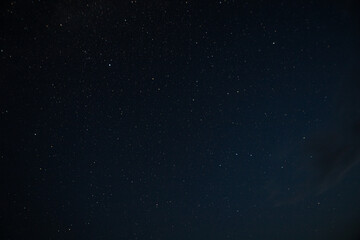 Obraz na płótnie Canvas starry night sky on a warm summer night