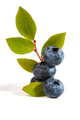 Fresh blueberries (Cyanococcus  within the genus Vaccinium) with green leaves isolated on white background. 