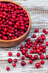 Bowl of fresh cranberry on wooden background, vertical, copy space