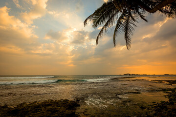 evenig on trooical beach