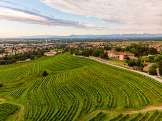 Fototapeta na wymiar Panoramic view of vineyards and castle in Buttrio, Udine, Friuli, Italy