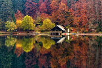 Autumn foliage in Fusine lakes natural park, Friuli Italy