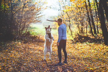 happy dog and man playing in autumn forest