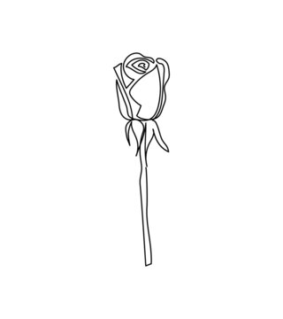 Rose, rosebud flower one line art. Continuous line drawing of plants, herb, flower, blossom, nature, flora, garden flowers.