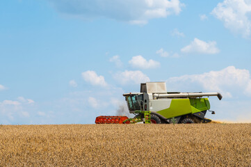 Combine harvester harvests ripe wheat. agriculture concept, Ripe field with combine harvester