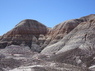 Petrified Forest National Park with clear blue sky