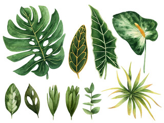 Tropical leaves in watercolor