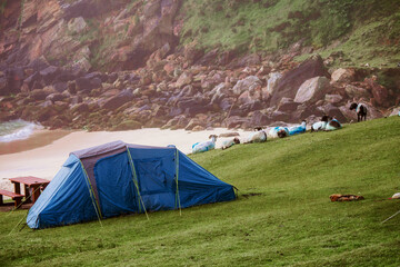 Tents by Keem beach, flock of sheep sleeps on the ground, Morning time